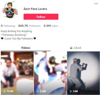 660K Viral Videos TikTok Account for Sale