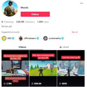 Buy Fortnite Gaming TikTok Account with 330K Followers