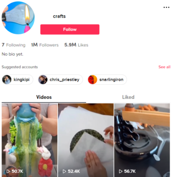 Buy Lifehacks Tutorials TikTok Account with 1M Followers