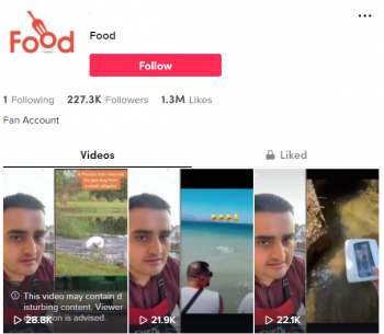 Buy Viral Food TikTok Account with 220K Followers