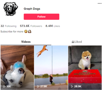 Buy Viral Pet Dogs TikTok Account with 570K Followers
