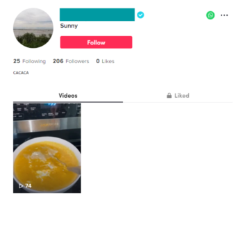 Buy Fresh Verified TikTok Account