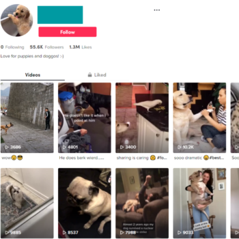 Buy Puppy Dogs TikTok with 55K Followers
