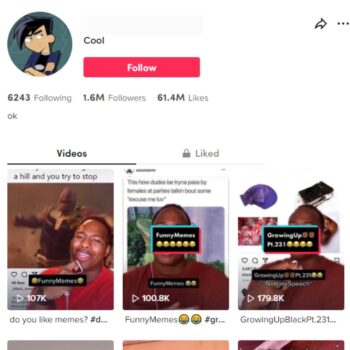 1.6M USA Memes TikTok Account for Sale