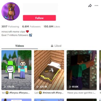 6.6M Minecraft Gaming TikTok Account for Sale