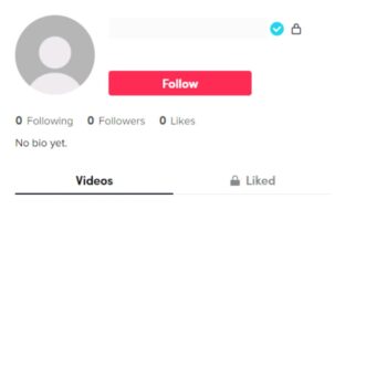 Clean Verified TikTok Account for Sale