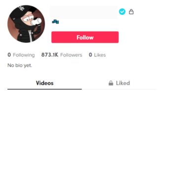 870K Blank Verified TikTok Account for Sale