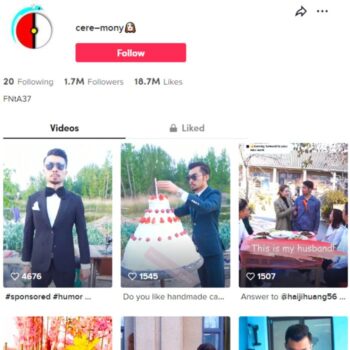 1.7M DIY Funny videos Tiktok Account for sale