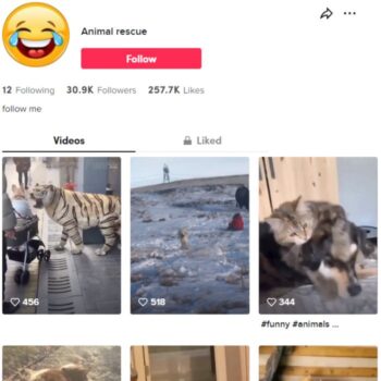 30k Funny Videos Tiktok Account for sale