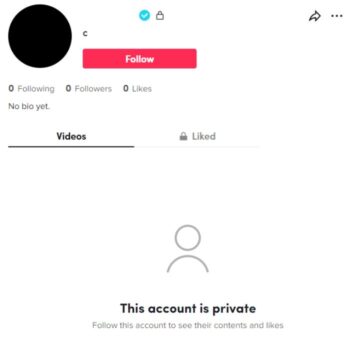 Blank Verified Tiktok Account for sale