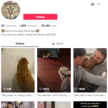 1.6M Pets Animal TikTok Account for sale