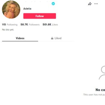 58K Blank Verified TikTok Account for sale