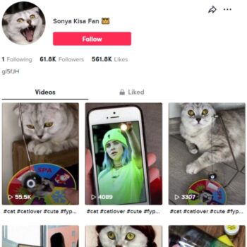 60K Pets Cats TikTok Account for sale