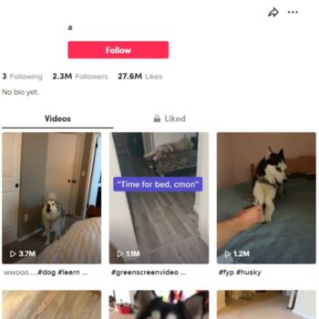 2.3M Viral Pet Dogs TikTok Account for sale