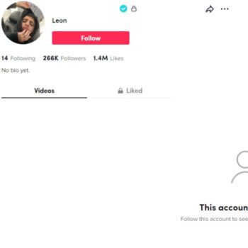 265k Verified Tiktok Account for sale