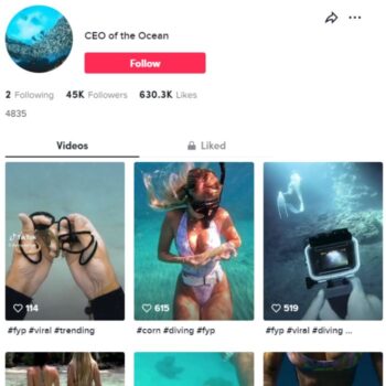 45K Travel Scuba Diving TikTok Account for sale