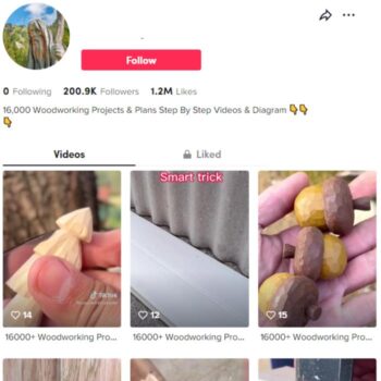 200K Woodworks TikTok Account for sale