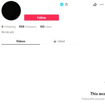 Blank Verified Tiktok Account for sale