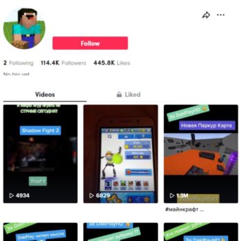 110k Minecraft Gaming TikTok Account for sale