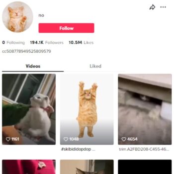 190K Pets Cats TikTok Account for sale