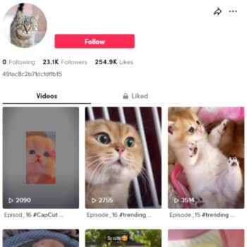 60K Pets Cats TikTok Account for sale