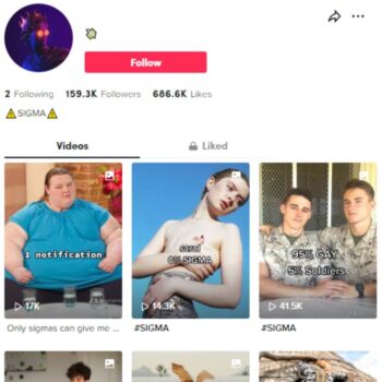 155k Business Motivation Tiktok Account for sale
