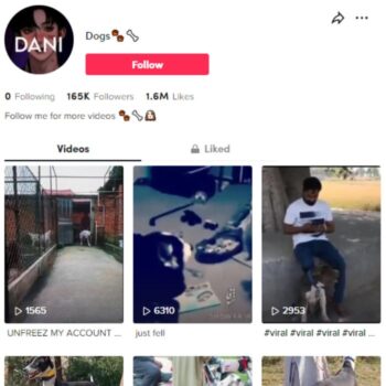 160K Guard Dogs TikTok Account for sale
