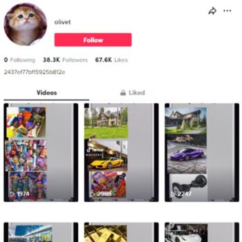38k Wealth Cars Tiktok Account for sale