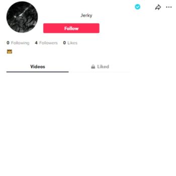 Blank Verified Tiktok Account for sale