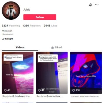 1k Minecraft Gaming TikTok Account for sale
