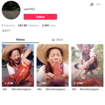 340K Food Mukbang TikTok Account for sale
