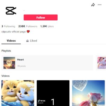 235k Cute Pets TikTok Account for sale