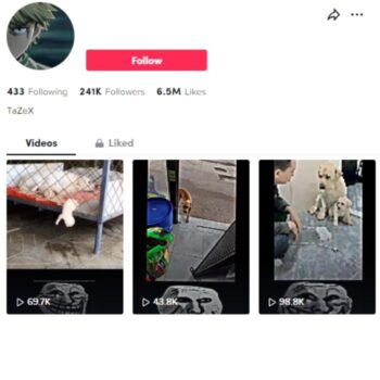 240K Pets Dogs TikTok Account for sale