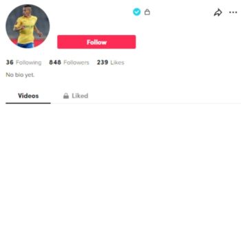 Verified Tiktok Account for sale