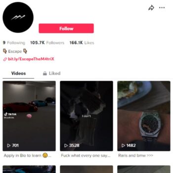 105K Luxury Motivation Tiktok Account for sale