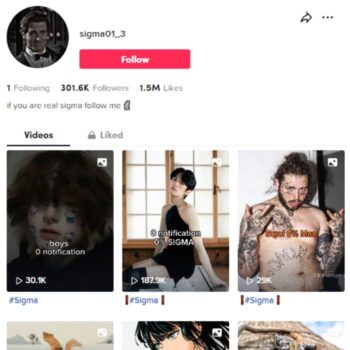 300K Sigma Motivation Tiktok Account for sale