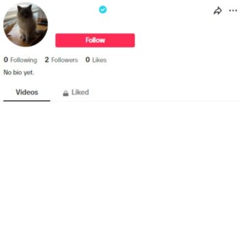 Verified Tiktok Account for sale