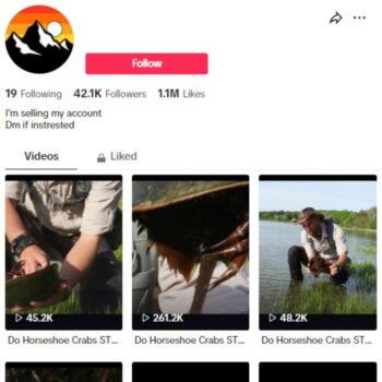 42K Animal Wildlife TikTok Account for sale