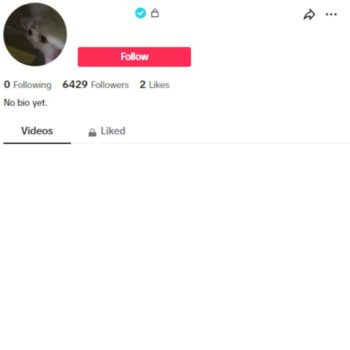 6k Verified Tiktok Account for sale