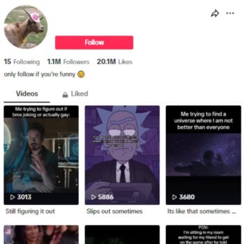 1.1M USA Memes TikTok Account for sale