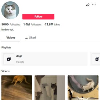 1.4M Pets Cats TikTok Account for sale