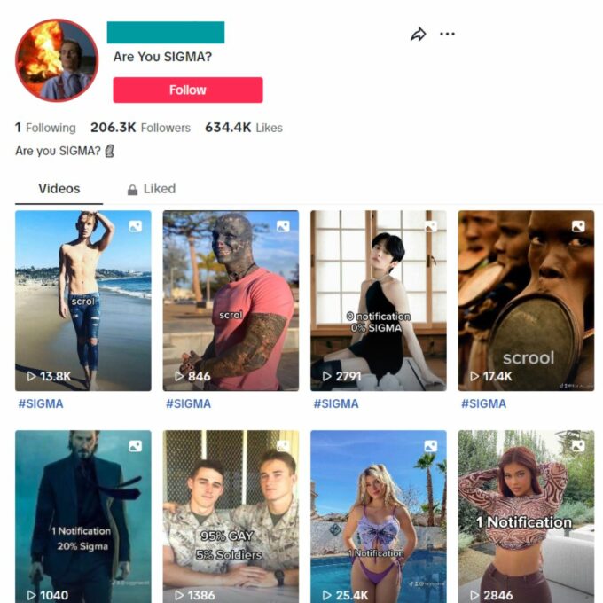 200K Sigma Male / Masculine TikTok Account for Sale