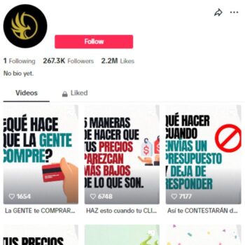 265k Success Motivation Tiktok Account for sale