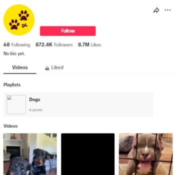 870K Pets Dogs TikTok Account for sale