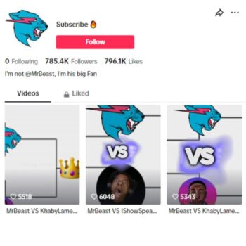 780k Influencer Fan TikTok Account for sale