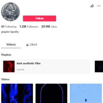 1.2M Music Entertainment Tiktok Account for sale