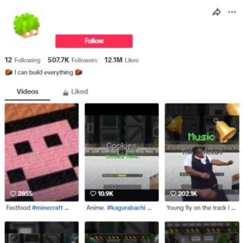 500k Minecraft Gaming TikTok Account for sale