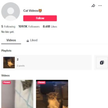 100K Cats Pets TikTok Account for sale
