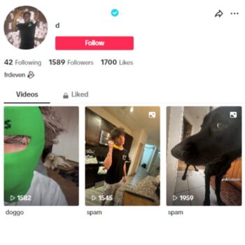 1K Verified Tiktok Account for sale