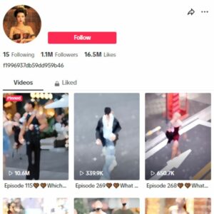 1M Fashion Lifestyle TikTok Account for sale